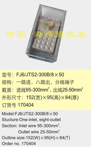 FJ6/JTS2-300B/850