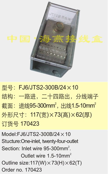 FJ6/JTS2-300B/2410