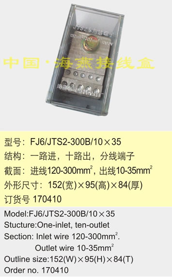 FJ6/JTS2-300B/1035