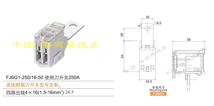 FJ6G1-250/16-50 ʹõ250A