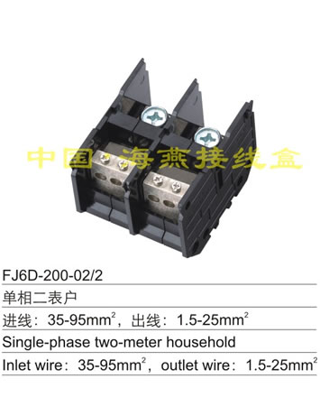 FJ6D-200-02/2 单相二户表