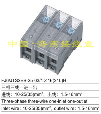 FJ6/JTS2EB-25-03/1X16(21L)H