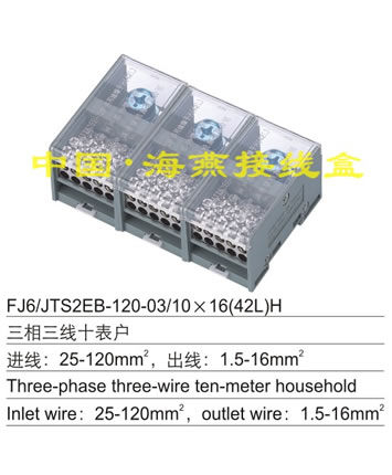 FJ6/JTS2EB-120-03/10X16(42L)H